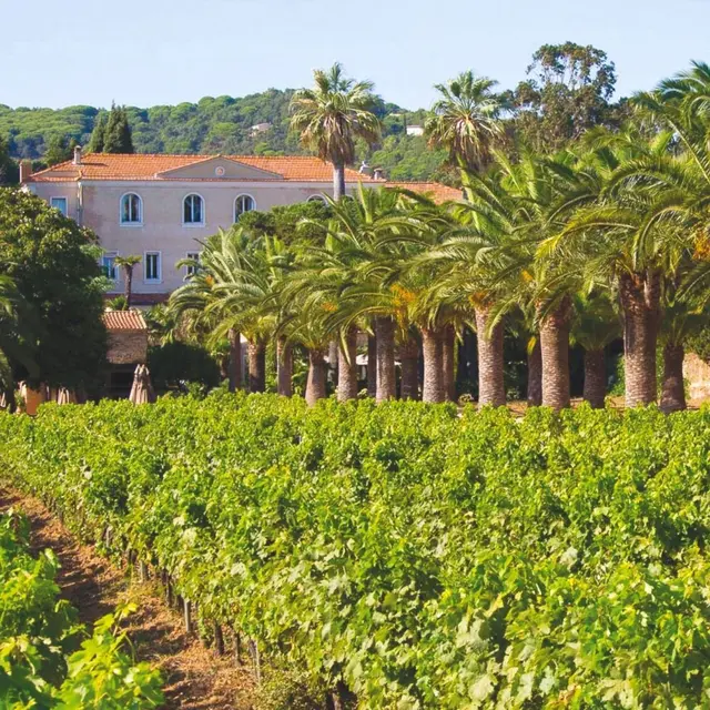 Château de Valmer_La Croix-Valmer