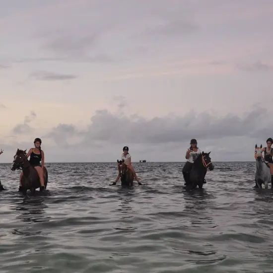 Cadichon Vallee - Tahiti Tourisme