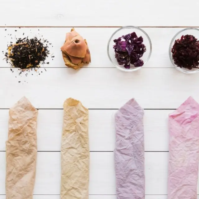 Color’conférence : les pigments du vivant_Sainte-Maxime