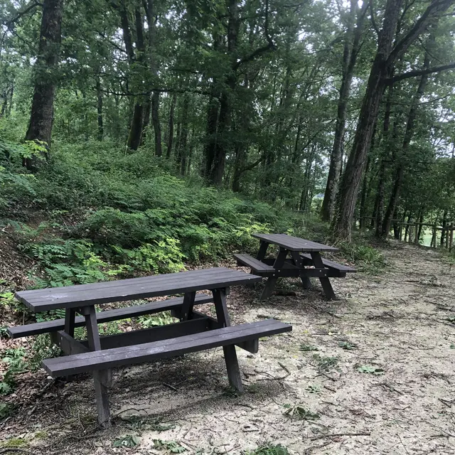 Aire de pique-nique du cheminement piéton_Lafrançaise