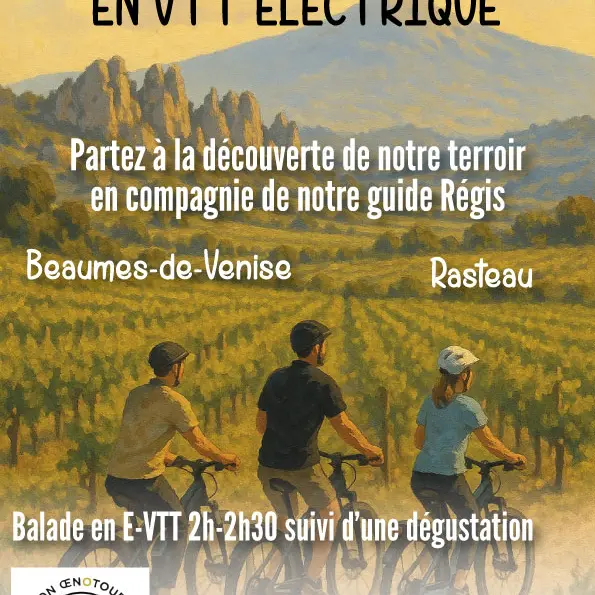 Balade à VTT électrique dans le vignoble et dégustation - Rhonéa_Beaumes-de-Venise