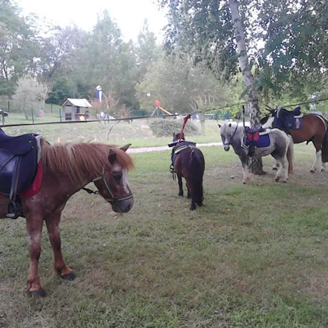centre équestre de Sistels