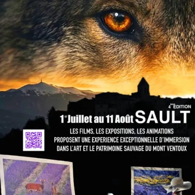 Cinéma Sursaut Nature de Nicolas Ughetto : Ventoux... lavandes vivantes, coeur sauvage en terre bleue_Sault