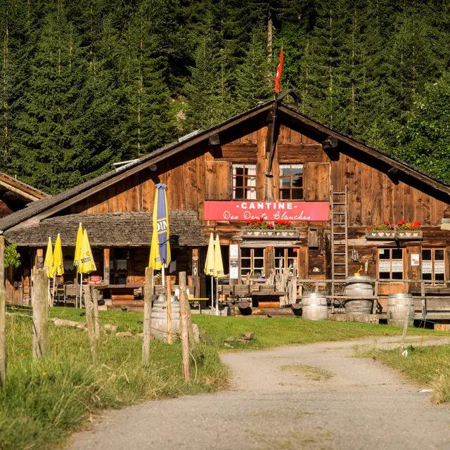 Cantine des Dents Blanches