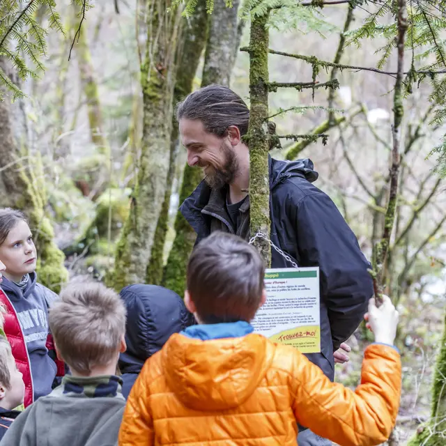 Ecomusée du Bois et de la Forêt- Scierie des Etouvières