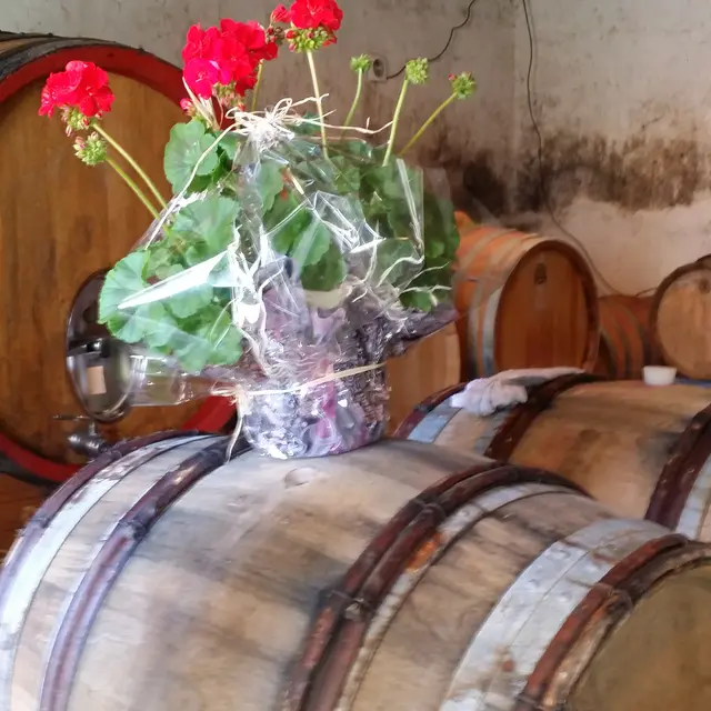 Domaine la Chrétienne