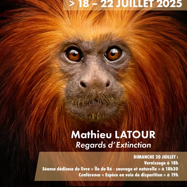 Expo / Vente / conférence Regards d'extinction par Mathieu LATOUR_Sainte-Marie-de-Ré