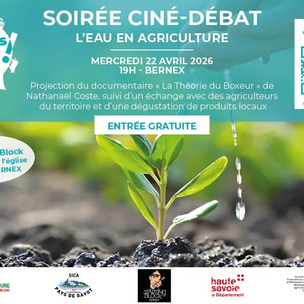 Flyer ciné-débat Bernex.jpg