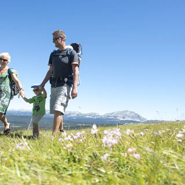 Sentier Le bois du Loup