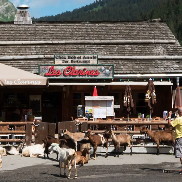 Restaurant les Clarines