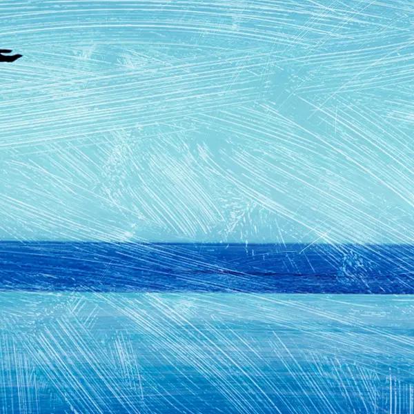 Pas croisés - Ballets de Monte-Carlo_Nice