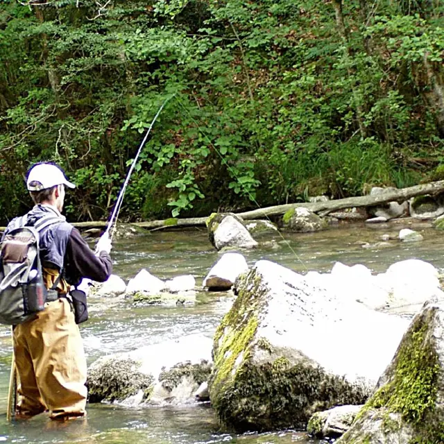 Parcours pêche, Le Brevon à Vailly_Vailly