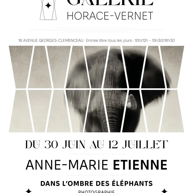 Exposition : Anne-Marie ETIENNE_La Londe-les-Maures