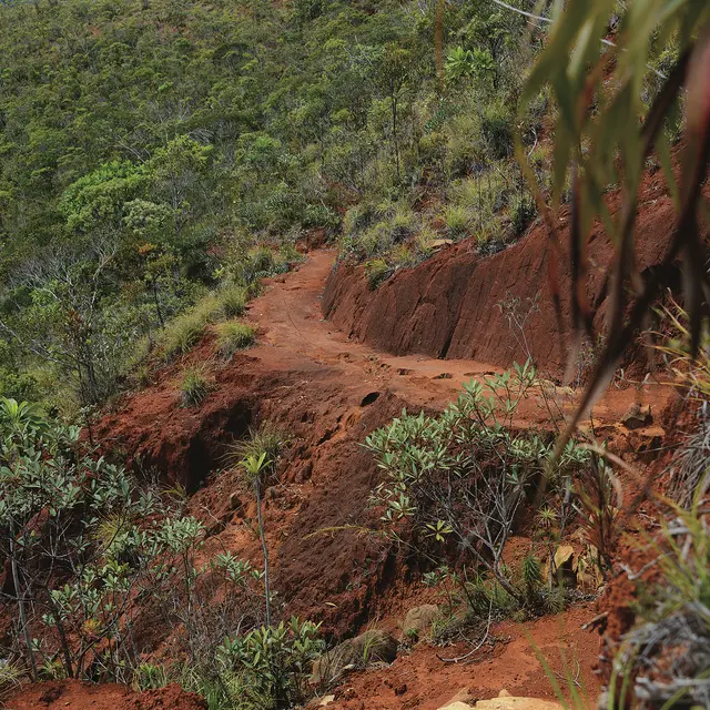 Sentier Mine Renaissance