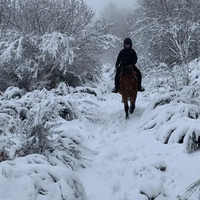 Balade dans la neige
