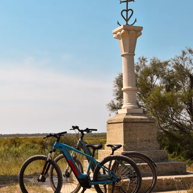 Le Velo Saintois Saintes Maries de la Mer Provence Alpes Cote d Azur Tourismus