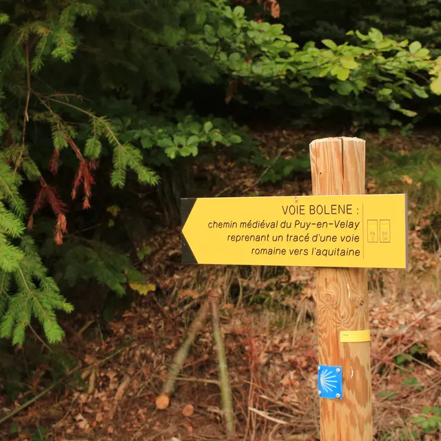 Voie bolène