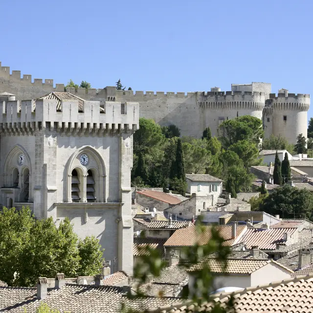 Il était une fois Villeneuve : les femmes de Villeneuve, une histoire inspirante_Villeneuve-lez-Avignon