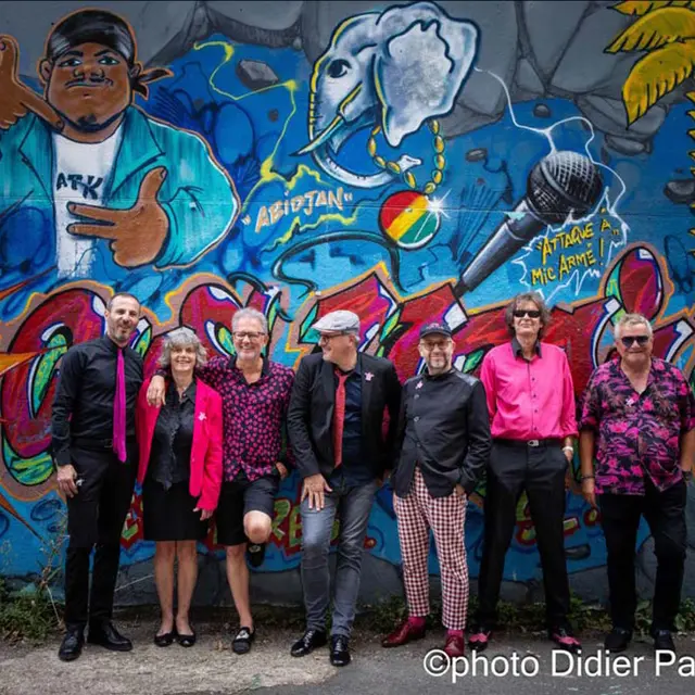 Concert - Pink Turtle_Montauban