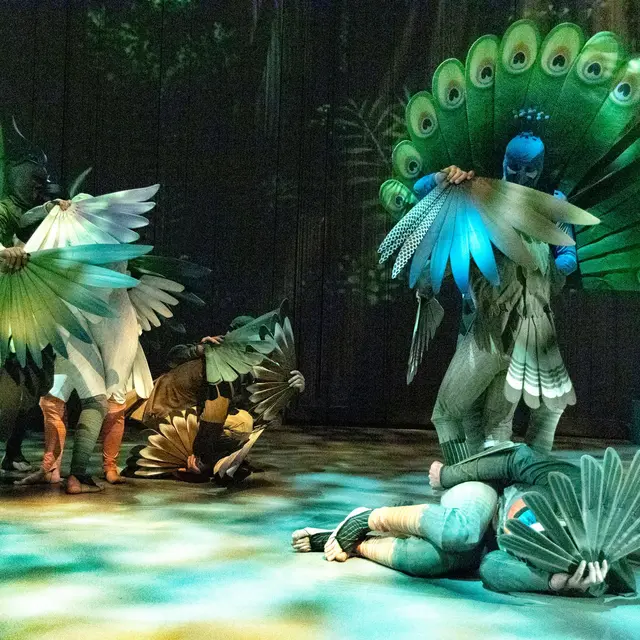 La Conférence des oiseaux