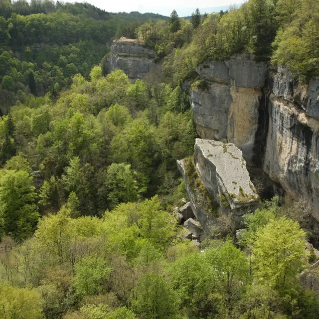Vallée de la Valserine et réserve depuis le Pont des Pierres