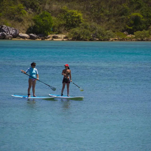 Nouméa Sup School