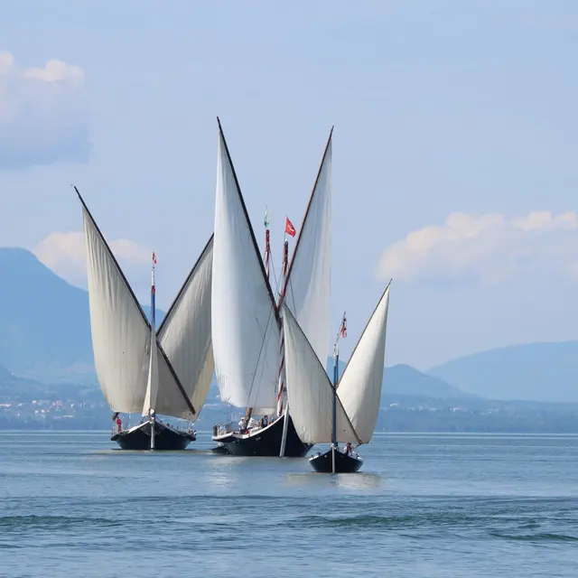 Conférence L'art de la navigation à voile latine, du passé au renouveau_Évian-les-Bains