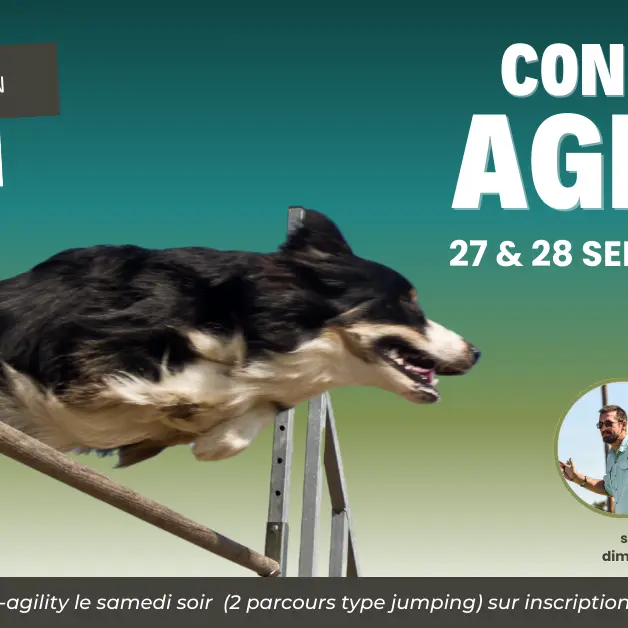 Annonce web