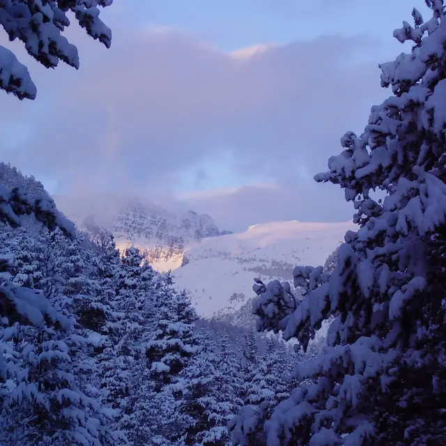 Randonnée en raquettes par les guides du Mercantour_Tende
