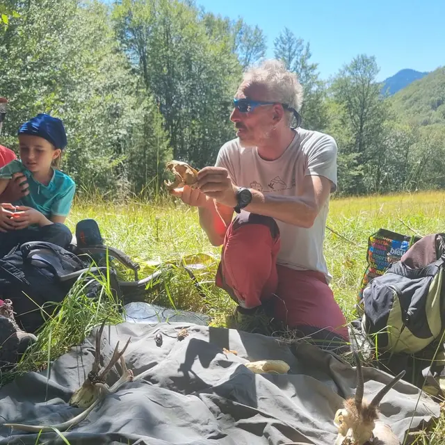 découverte de la faune de montagne