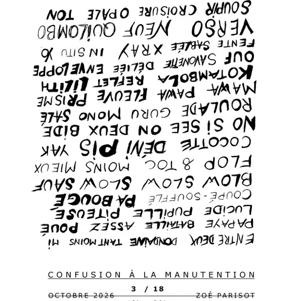 Zoé Parisot - Confusion à la Manutention_Avignon
