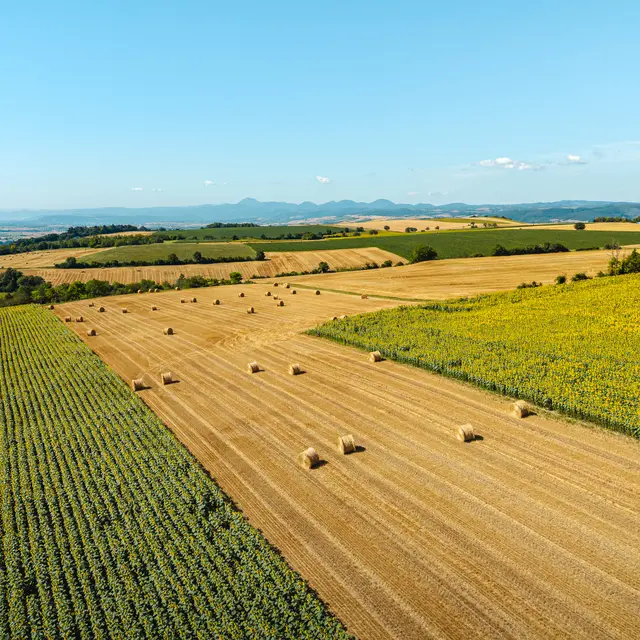 Les Randonnées coucher de soleil et pause gourmande - Chaptuzat_Chaptuzat
