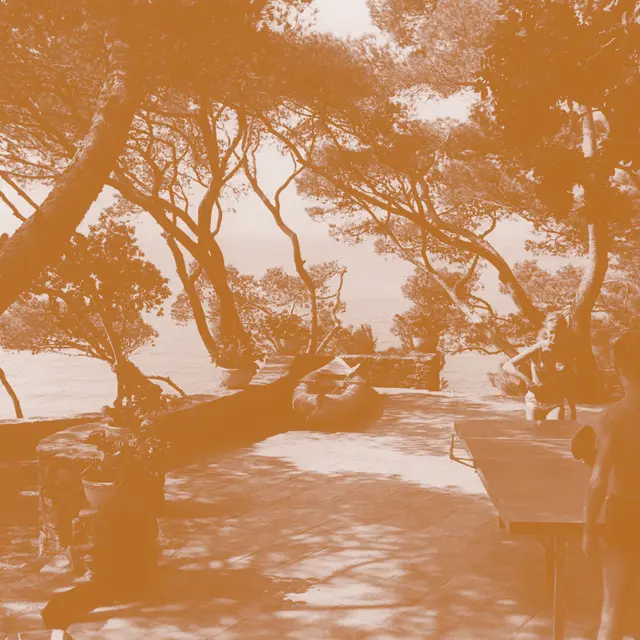 Le Provençal