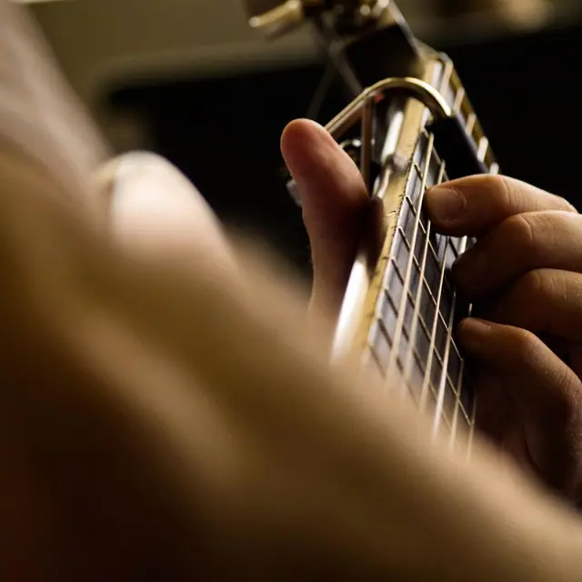 Venez chanter avec Laurent Seyral !_Faucon