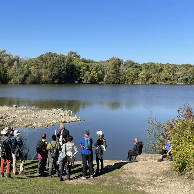 Sortie ornithologique dans le parc de la boucle de la Seine_Montesson