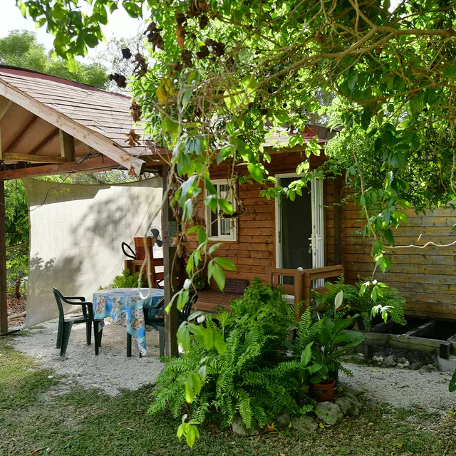 Oasis Bel Air