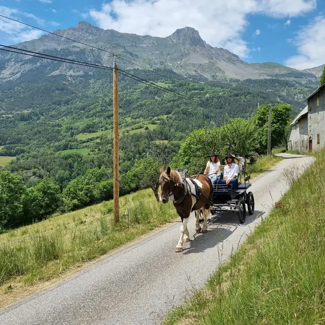 Les Crinières des Cimes - Balade en calèche à Rioclar