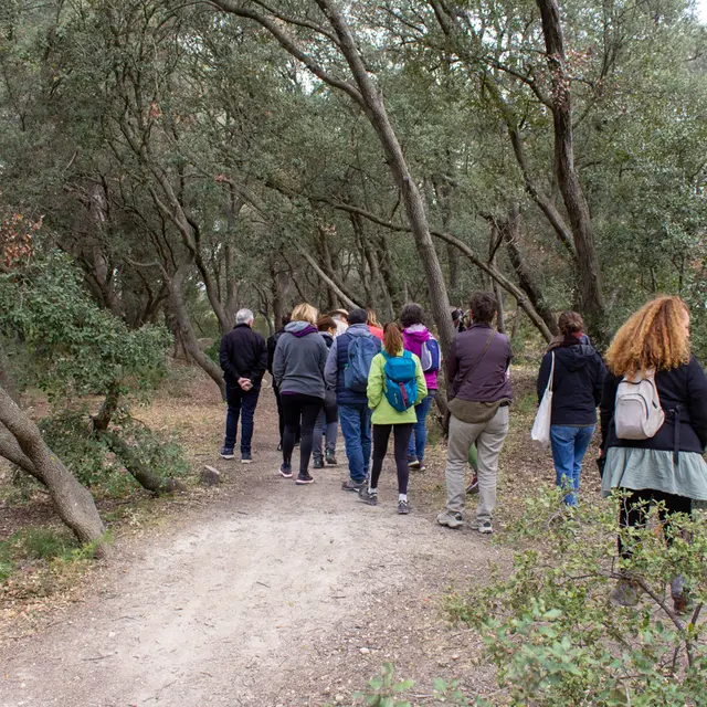 Éco-balade : De la Chênaie de Lavalduc vers les Salins de Rassuen_Istres