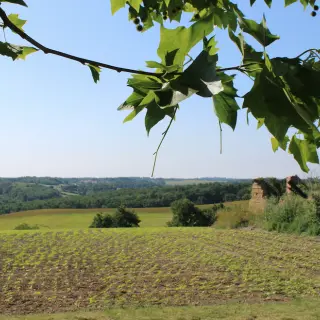 Point de vue de Varennes