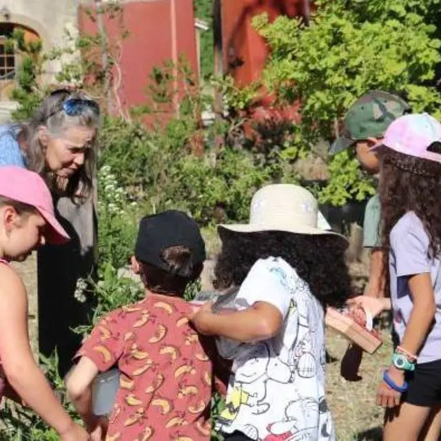 Explorateur de la ferme_Sarrians