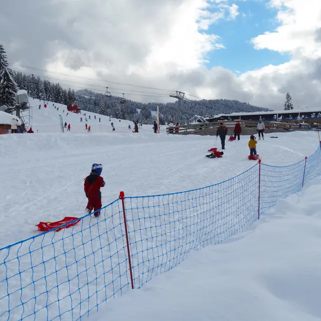 Piste de luge