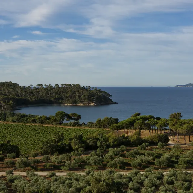 Chateau Leoube