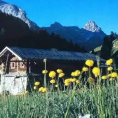Chalet d'alpage de 2 à 25 personnes - Clapeyto_Arvieux