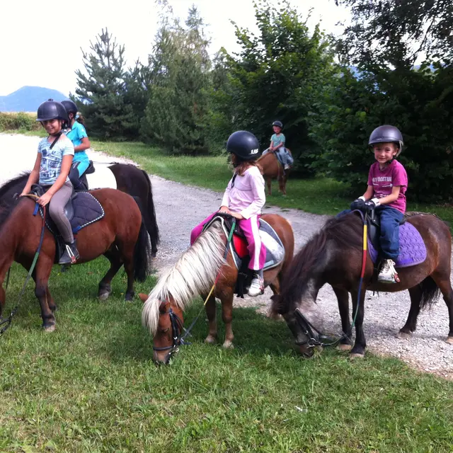 poney club pelleautier