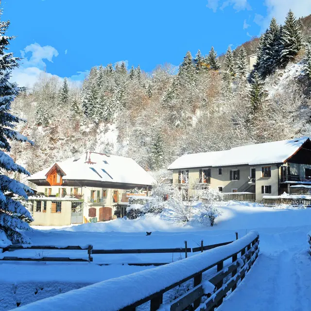 L'Ancienne Scierie - Le Chêne