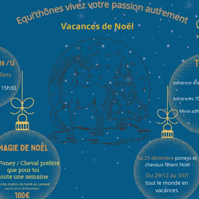 Vacances de Noël au centre équestre_Thônes