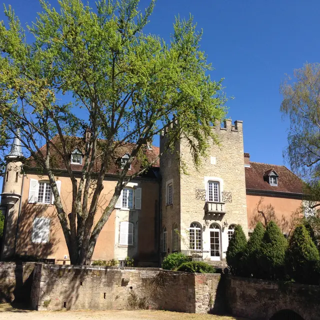 Circuit n°9 - A la recherche des bons remèdes