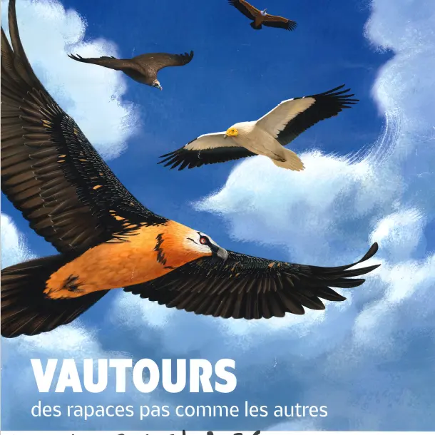 Capture d’écran 2026-08-13 161218.png