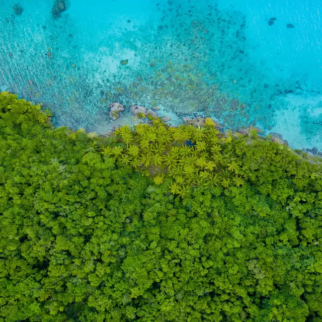 Lifou nature