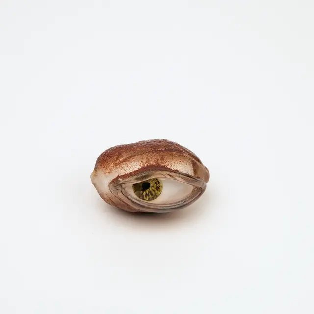 Mathilde Rosier, Yeux graines, 2022–2023.